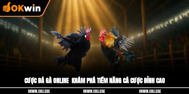 Cược Đá Gà Online - Khám Phá Tiềm Năng Cá Cược Đỉnh Cao